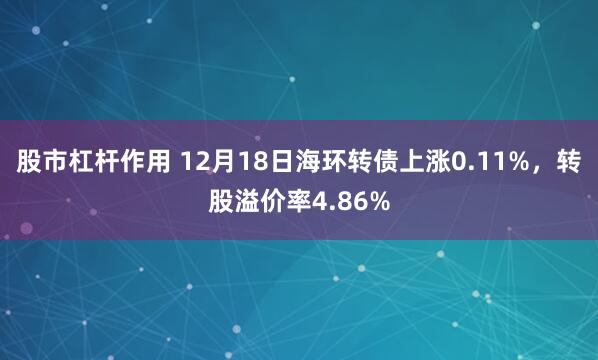 股市杠杆作用 12月18日海环转债上涨0.11%，转股溢价率4.86%