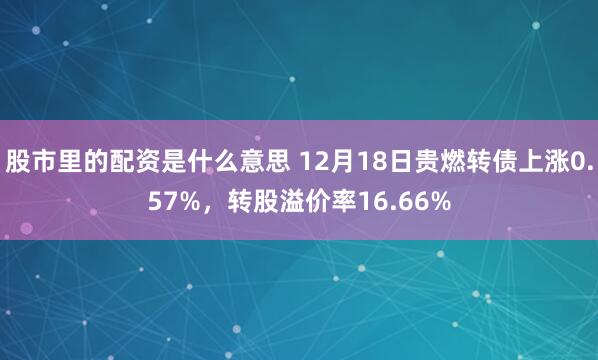 股市里的配资是什么意思 12月18日贵燃转债上涨0.57%，转股溢价率16.66%