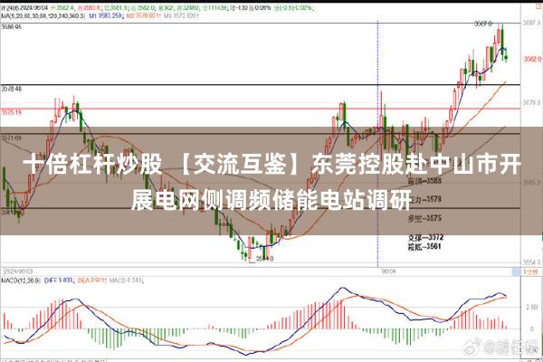 十倍杠杆炒股 【交流互鉴】东莞控股赴中山市开展电网侧调频储能电站调研