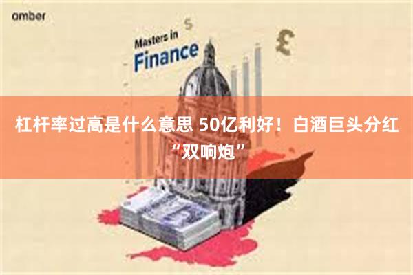 杠杆率过高是什么意思 50亿利好！白酒巨头分红“双响炮”