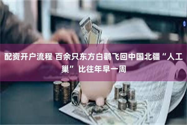 配资开户流程 百余只东方白鹳飞回中国北疆“人工巢” 比往年早一周