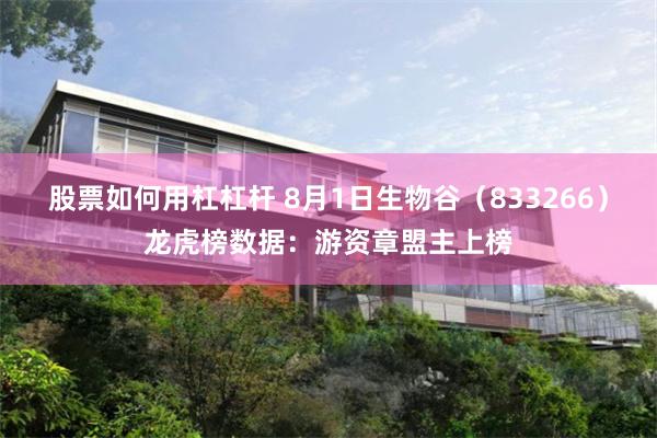 股票如何用杠杠杆 8月1日生物谷（833266）龙虎榜数据：游资章盟主上榜