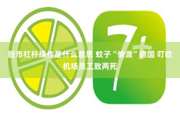 股市杠杆操作是什么意思 蚊子“偷渡”德国 叮咬机场员工致两死